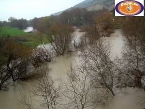 05 marzo 2011 c