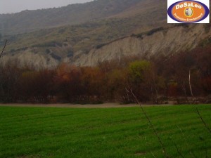 05 marzo 2011 g