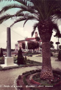 immagine6